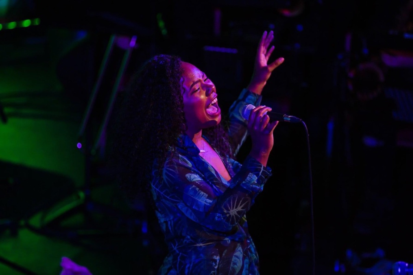 Nicole Battick singing live on stage